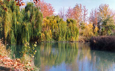 Lugares